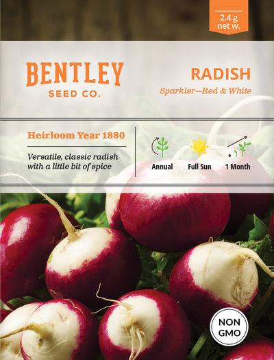 Radish, Sparkler Seed Packets seed packet