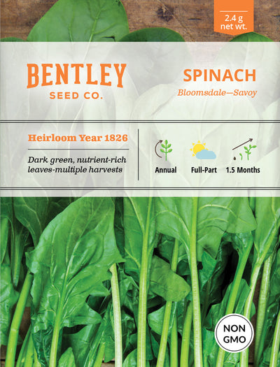 Spinach, Bloomsdale-Savoy Seed Packets garden seeds