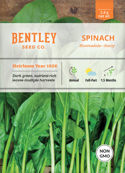 Spinach, Bloomsdale-Savoy Seed Packets