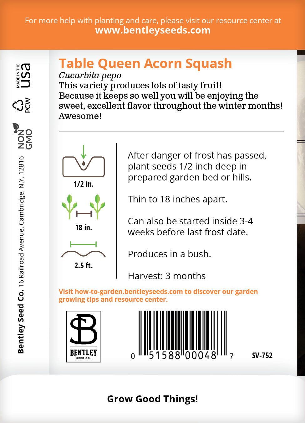 Bentley Seeds Acorn Squash Seeds - Thumbnail 4