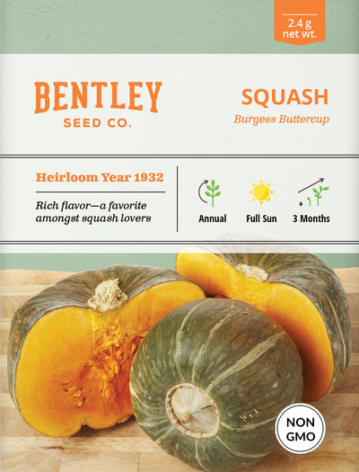 Squash, Buttercup Seed Packets garden seeds