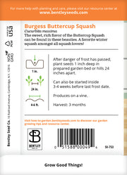 Squash, Buttercup Seed Packets garden seeds