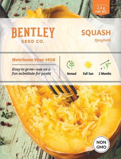 Squash, Spaghetti Seed Packets flower seeds