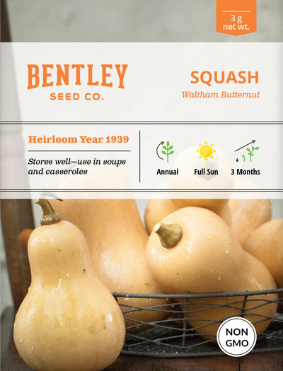 Squash, Butternut Waltham Seed Packets seed packet