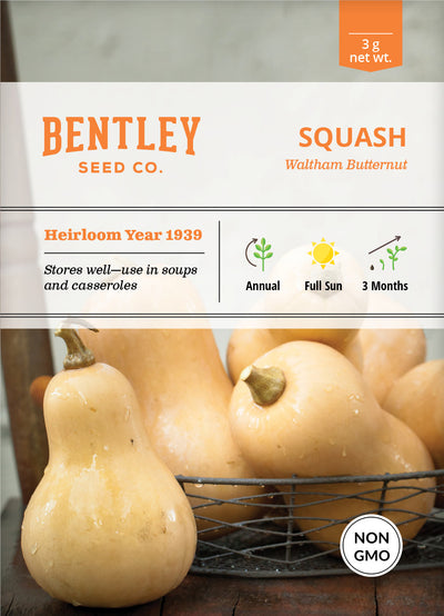 Squash, Butternut Waltham Seed Packets seed packet