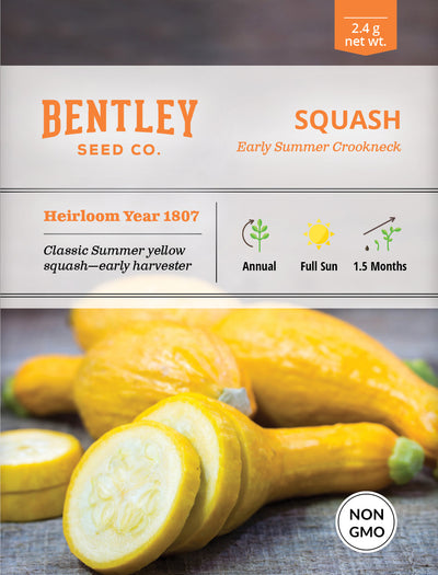 Squash, Yellow Crookneck Seed Packets garden seeds