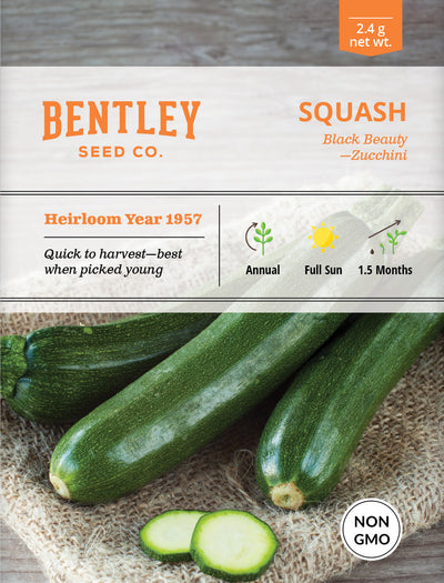 Squash, Zucchini Black Beauty Seed Packets seed packet
