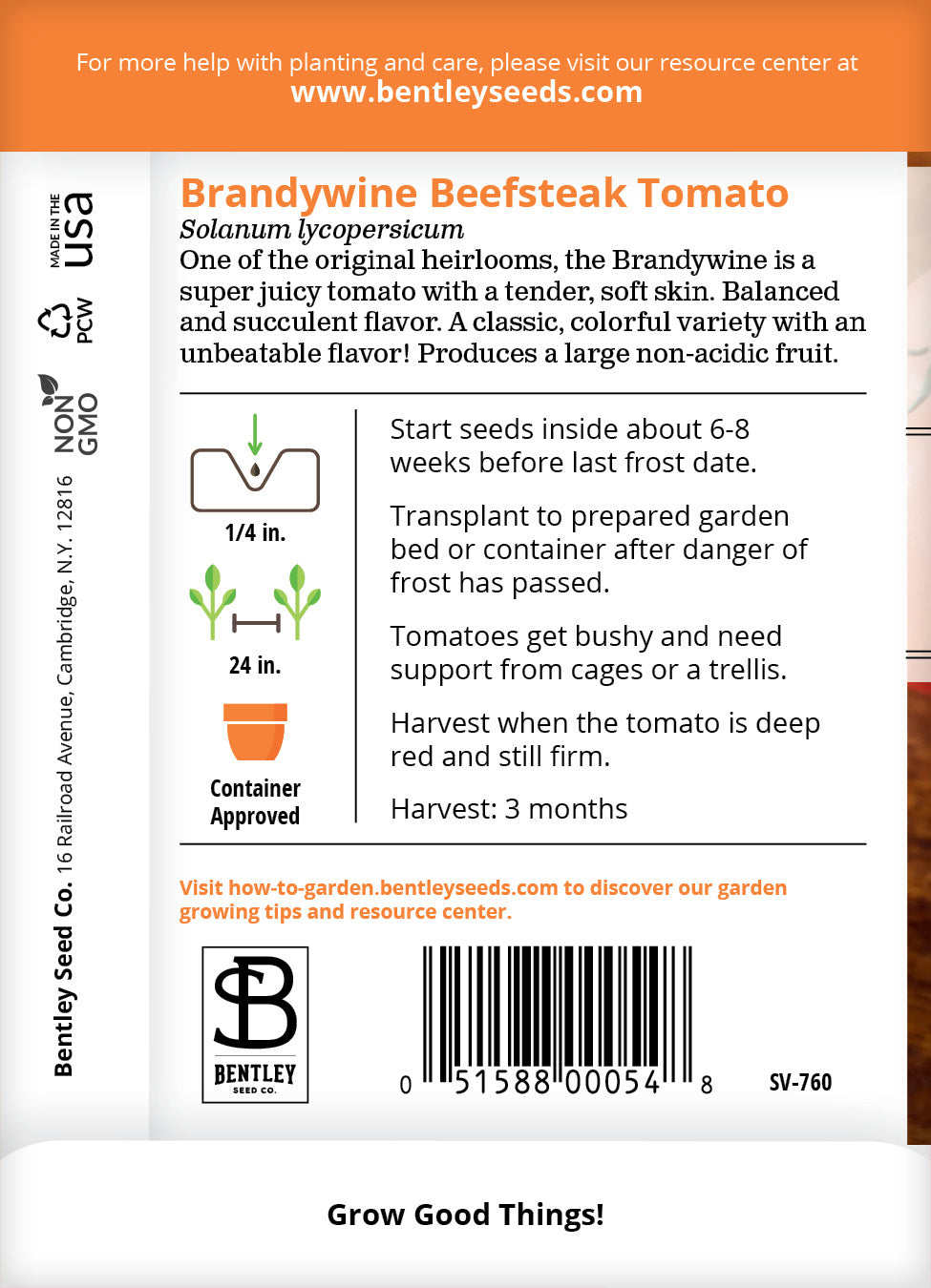 Bentley Seeds Brandywine Tomato - Thumbnail 3