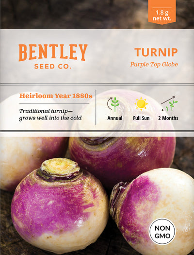 Turnip, Purple Top Seed Packets garden seeds