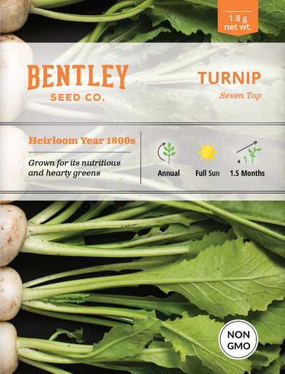 Turnip, Seven Top Seed Packets garden seeds