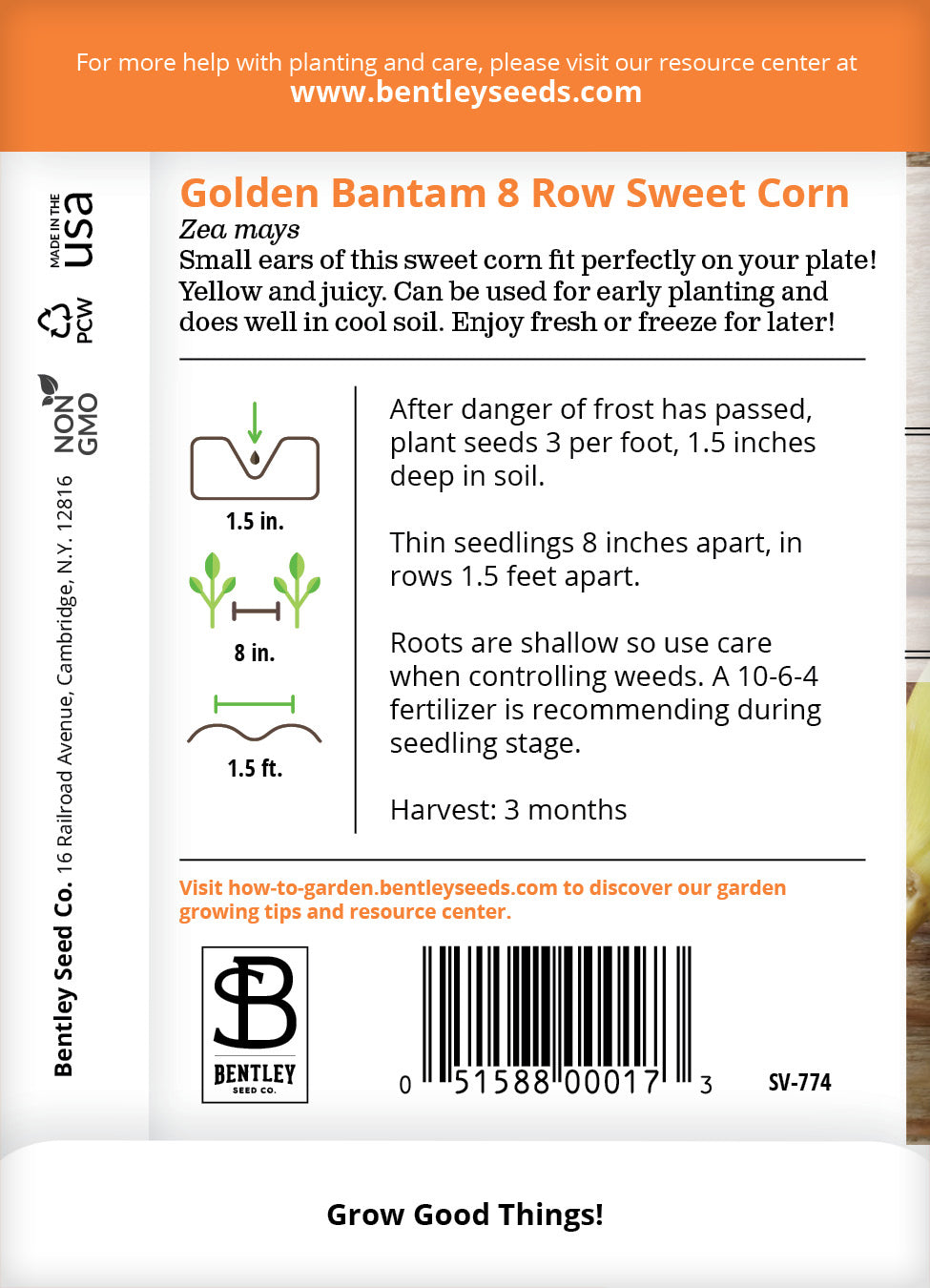 where to buy corn seeds for planting Corn, Golden Bantam Seed Packets