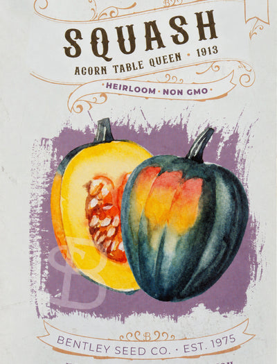 Front of heirloom acorn squash seed packet.