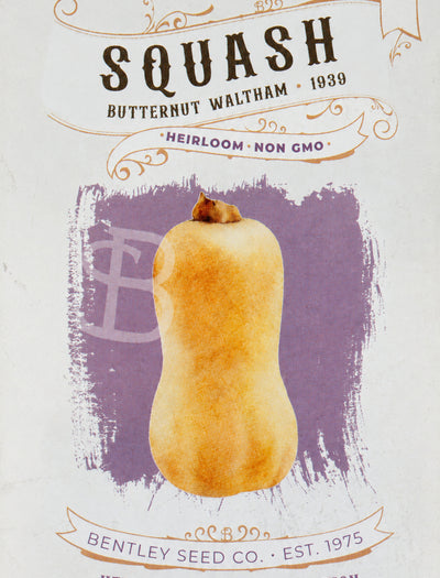 Image of Butternut Squash, Waltham 1939 front of seed packet