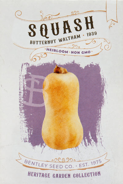 Image of Butternut Squash, Waltham 1939 front of seed packet