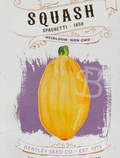 Squash-Spaghetti 1850, front of seed packet