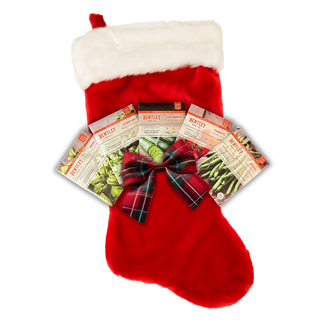Red Christmas stocking with a plaid bow containing seed packets on a white background
