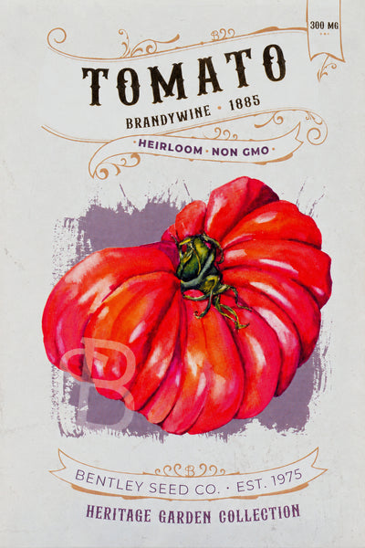 Front of heirloom Brandywine Tomato seed packet.