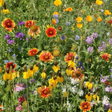 Western Wildflower Mix Seed Packets