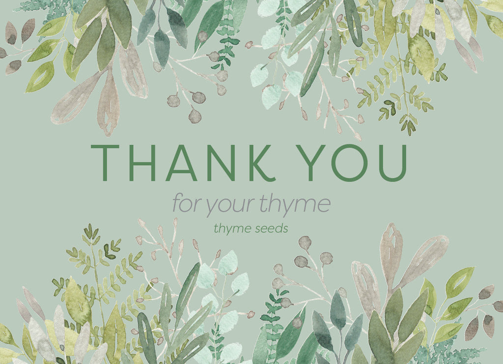 Thank You Thyme - Thyme Seed Packets - Bentley Seeds
