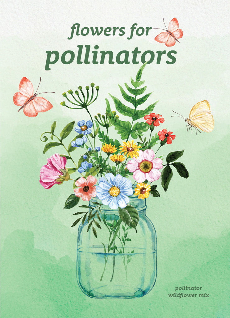 Flowers for Pollinators - Pollinator Flower Seed Mix Packets - Bentley Seeds