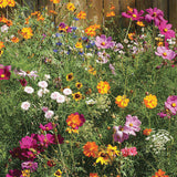 Bee The Change - Pollinator Flower Mix Seed Packets