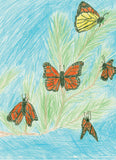 Cambridge Central School Third Grade Butterfly Art - Pollinator Mix Seed Packets