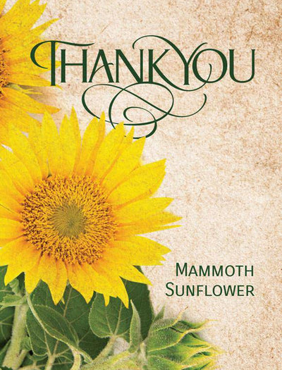 Thank You garden seeds