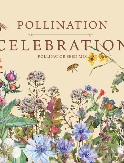Pollination Celebration seed packet