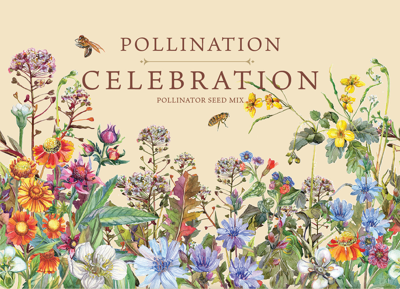 Pollination Celebration - Pollinator Flower Seed Mix Packets - Bentley Seeds