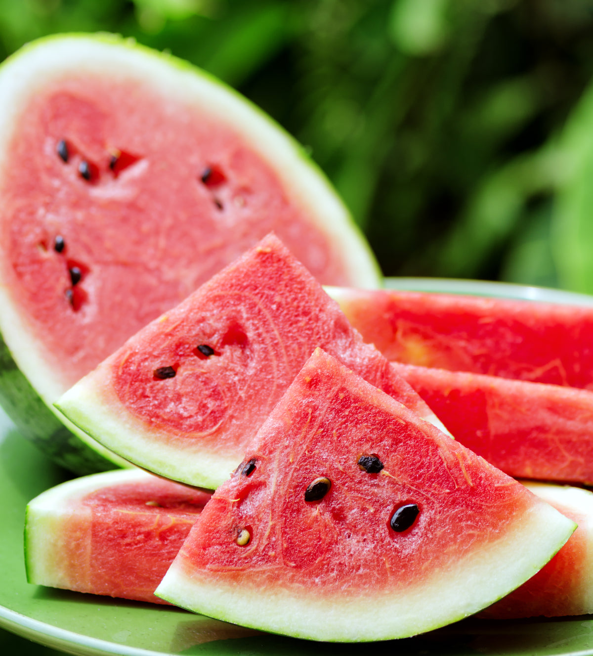 Watermelon, Crimson Sweet Seed Packets flower seeds