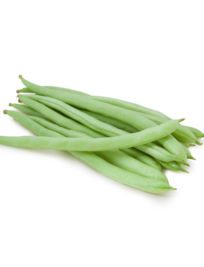 Beans, Bush Blue Lake, Organic garden seeds
