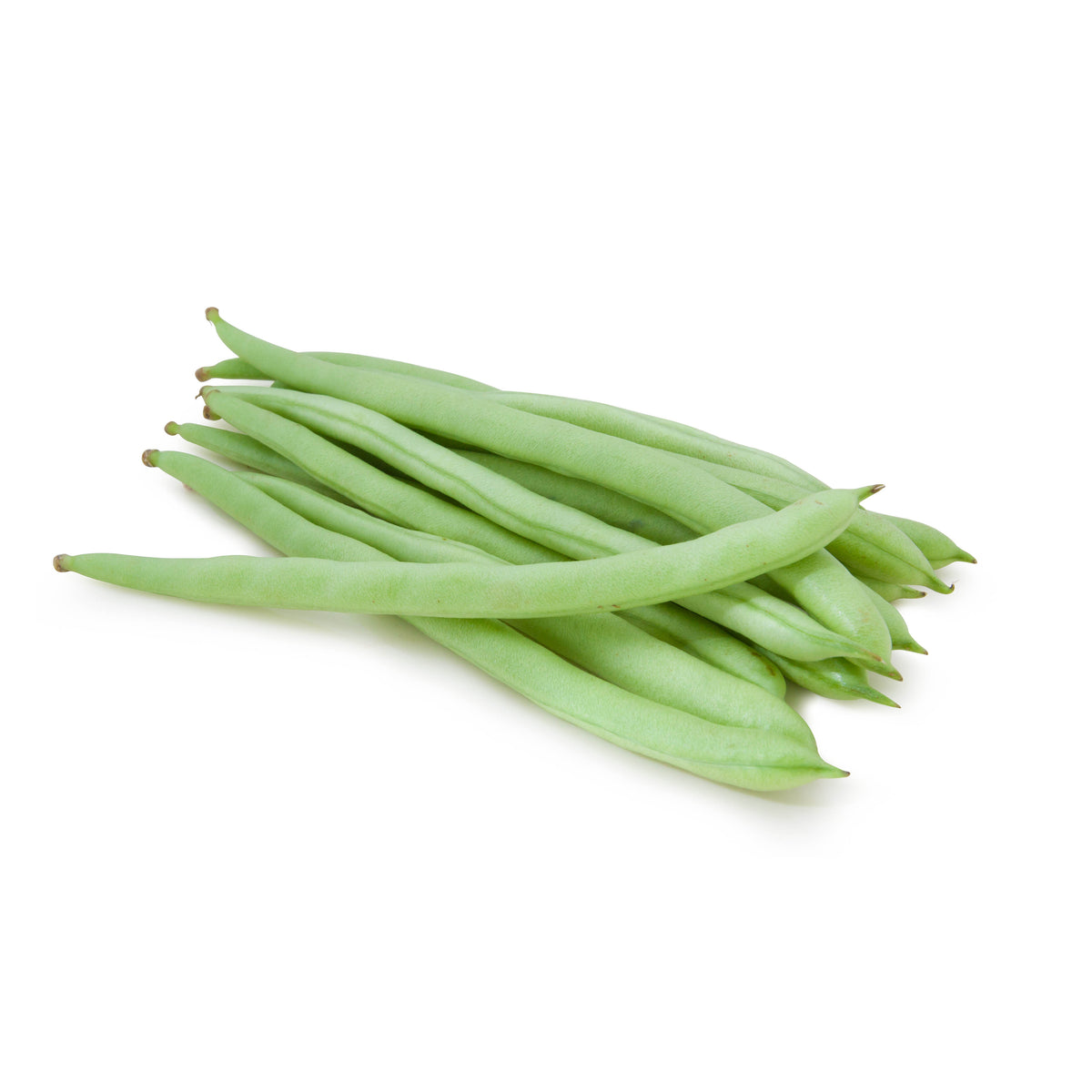Beans, Bush Blue Lake, Organic garden seeds