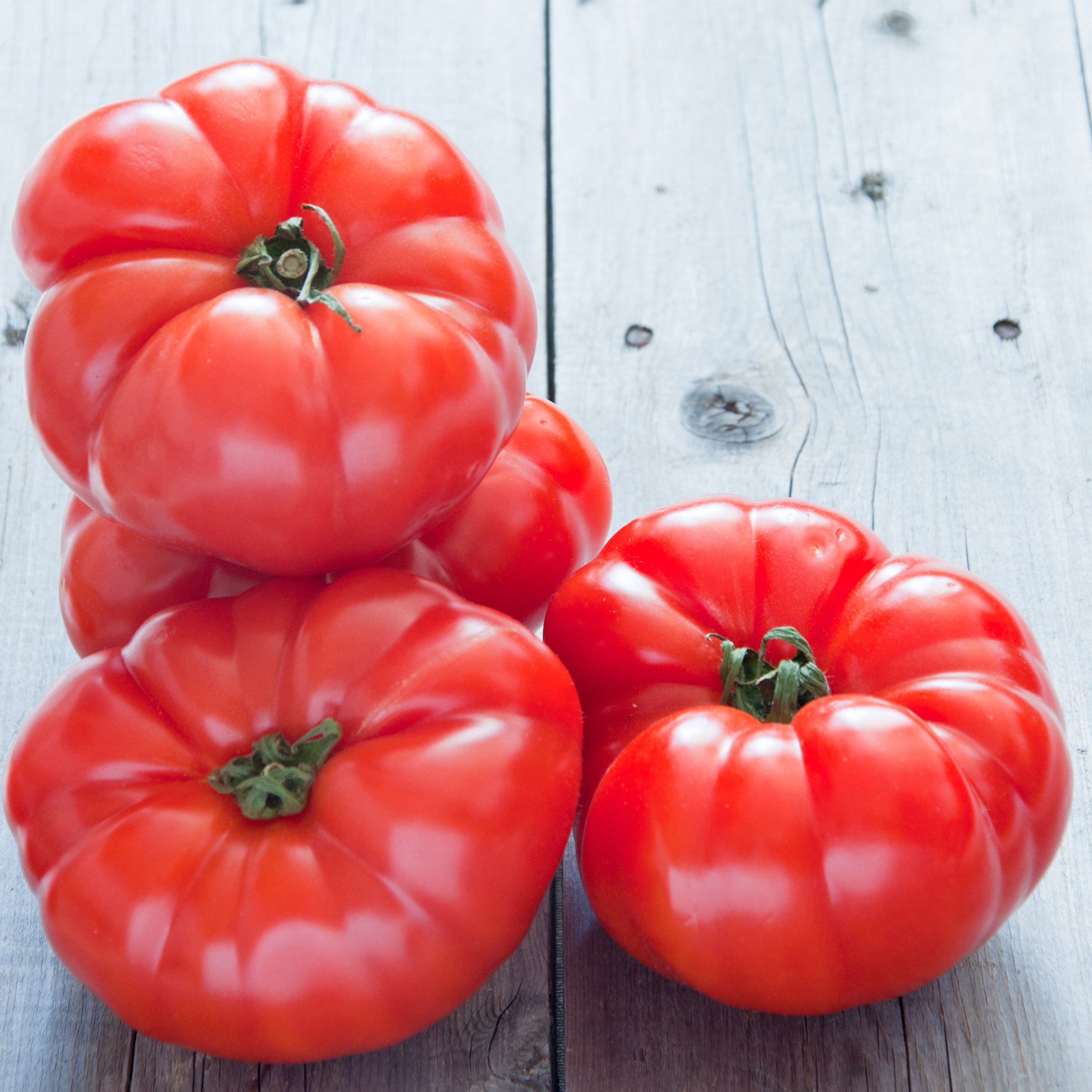 Tomato, Beefsteak Seed Packets | Bentley Seeds