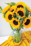 Sunflower, Sunspot Dwarf Seed Packets