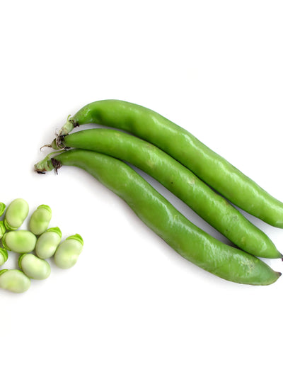 Beans, Henderson Lima seed packet