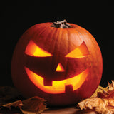 Too Cute To Spook - Spookie Pumpkin Seed Packets