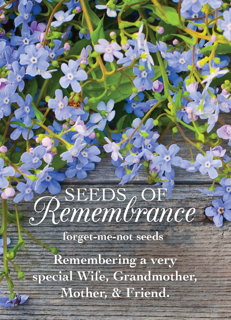 Forget Me Not Personalized Seed Packets