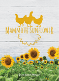 "Chicken" Mammoth Sunflower Seed Packet in White - Bentley Seeds
