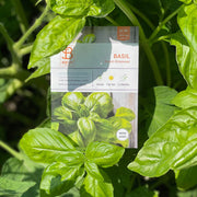 Basil, Genovese Sweet Seed Packets garden seeds