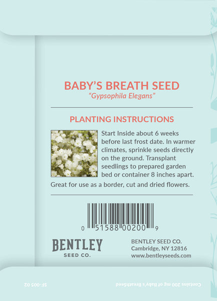 All Things Grow With Love - Baby's Breath - Kit- 25 Individual Baby Breath  Seed Packs - Ideal for Party Favors - Non-GMO - Eco-Friendly Gift - Indoor  or Outdoor Garden 
