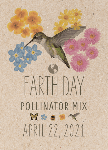 Earth Day 2021 "Pollinator Mix" Wildflower Seed in Hummingbird - Bentley Seeds