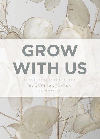 "Grow With Us" Money Plant Seed Packet - Bentley Seeds