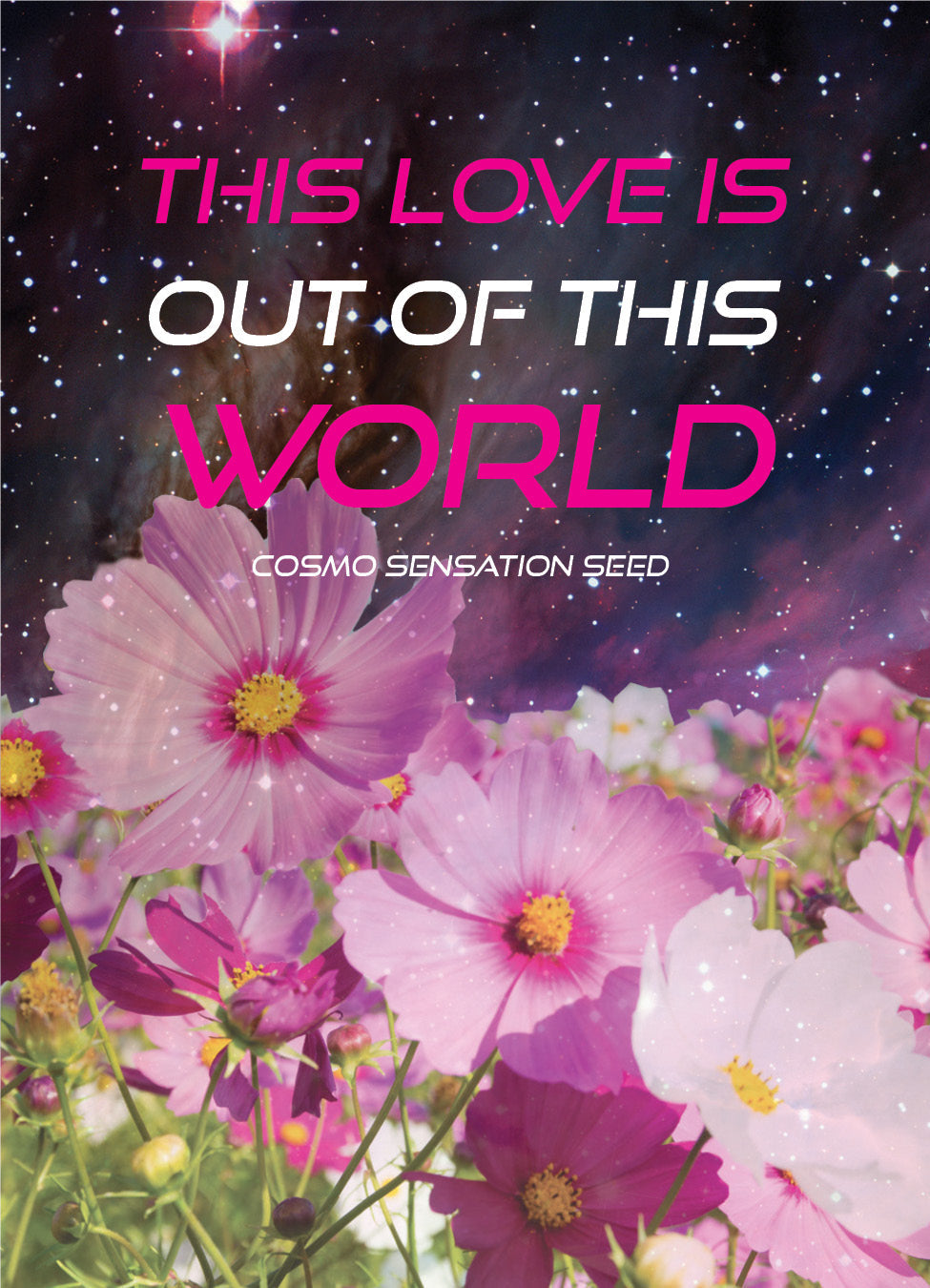 Love is Out of this World - Cosmos Flower Packets - Bentley Seeds