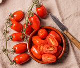 Roma Tomato Great for so many things! The soft skin and low amount of seeds makes it great for sauces, canning and salads. Produces a small-medium oval fruit. Bentley Seeds.