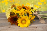 Sunflowers For Mom flower seeds