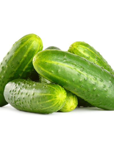 Cucumber, Poinsett flower seeds