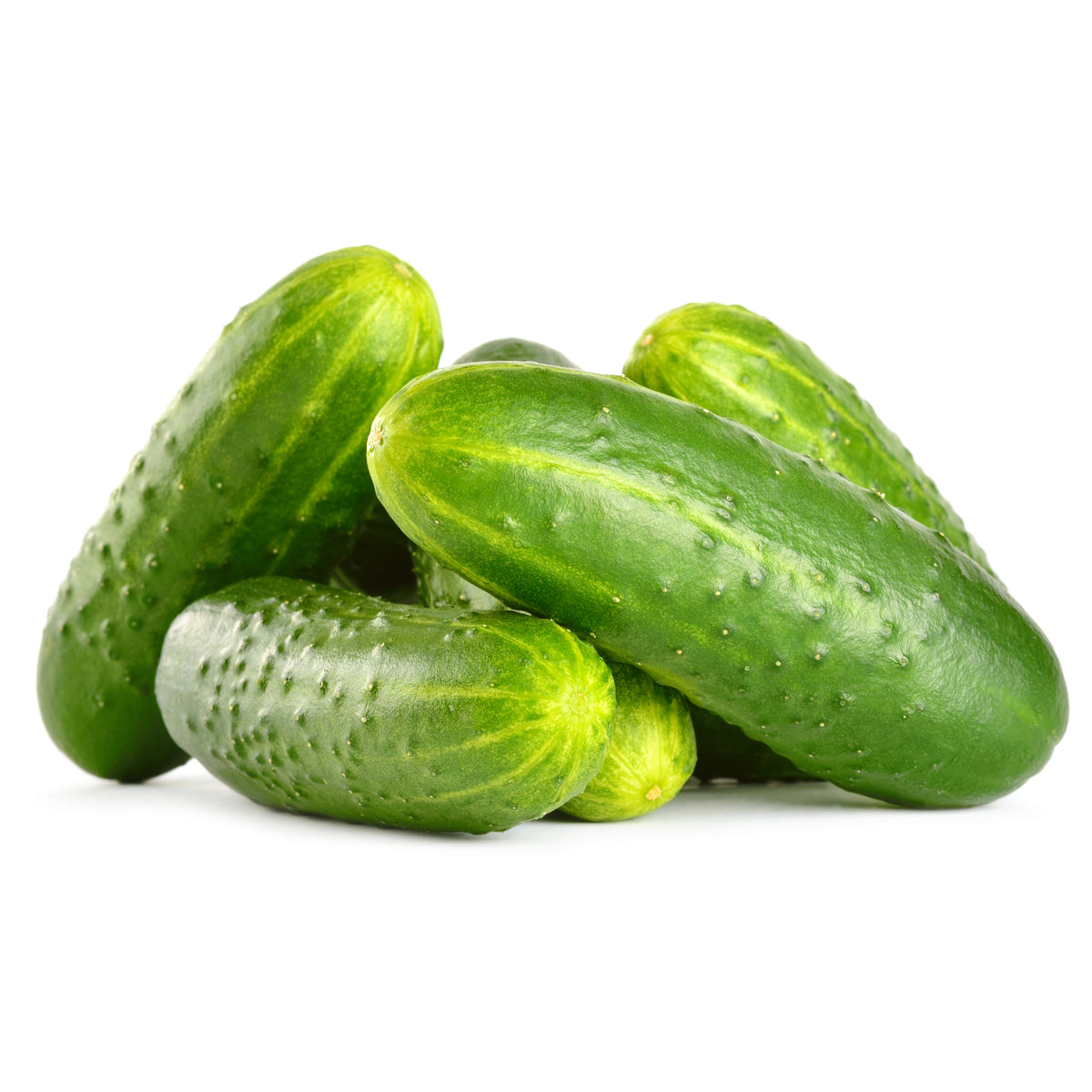 Cucumber - Poinsett (Bulk) - Bentley Seeds