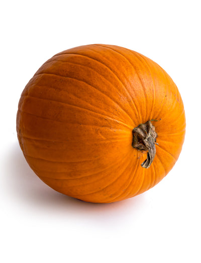 Pumpkin, Howden garden seeds