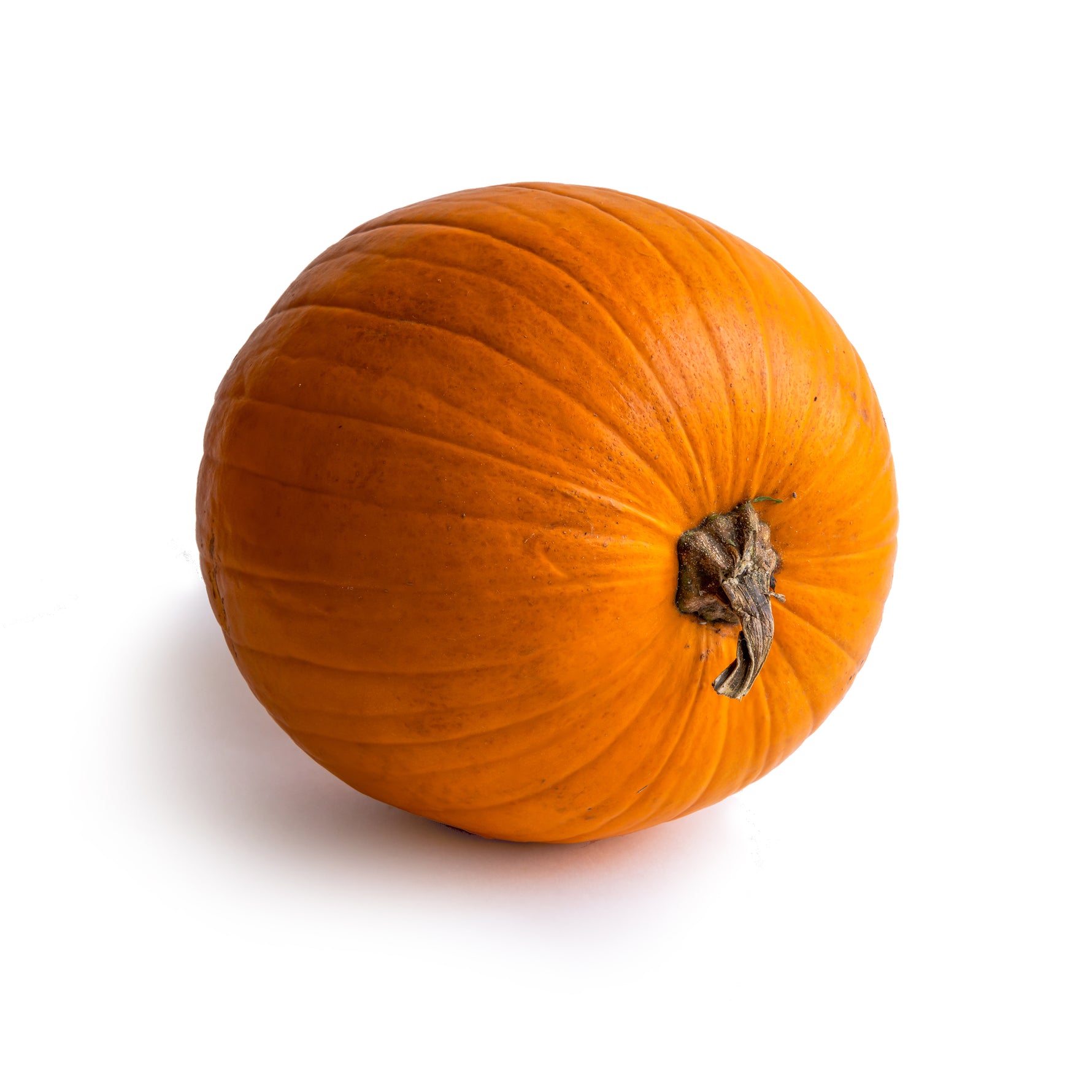 Pumpkin - Howden (Bulk) - Bentley Seeds