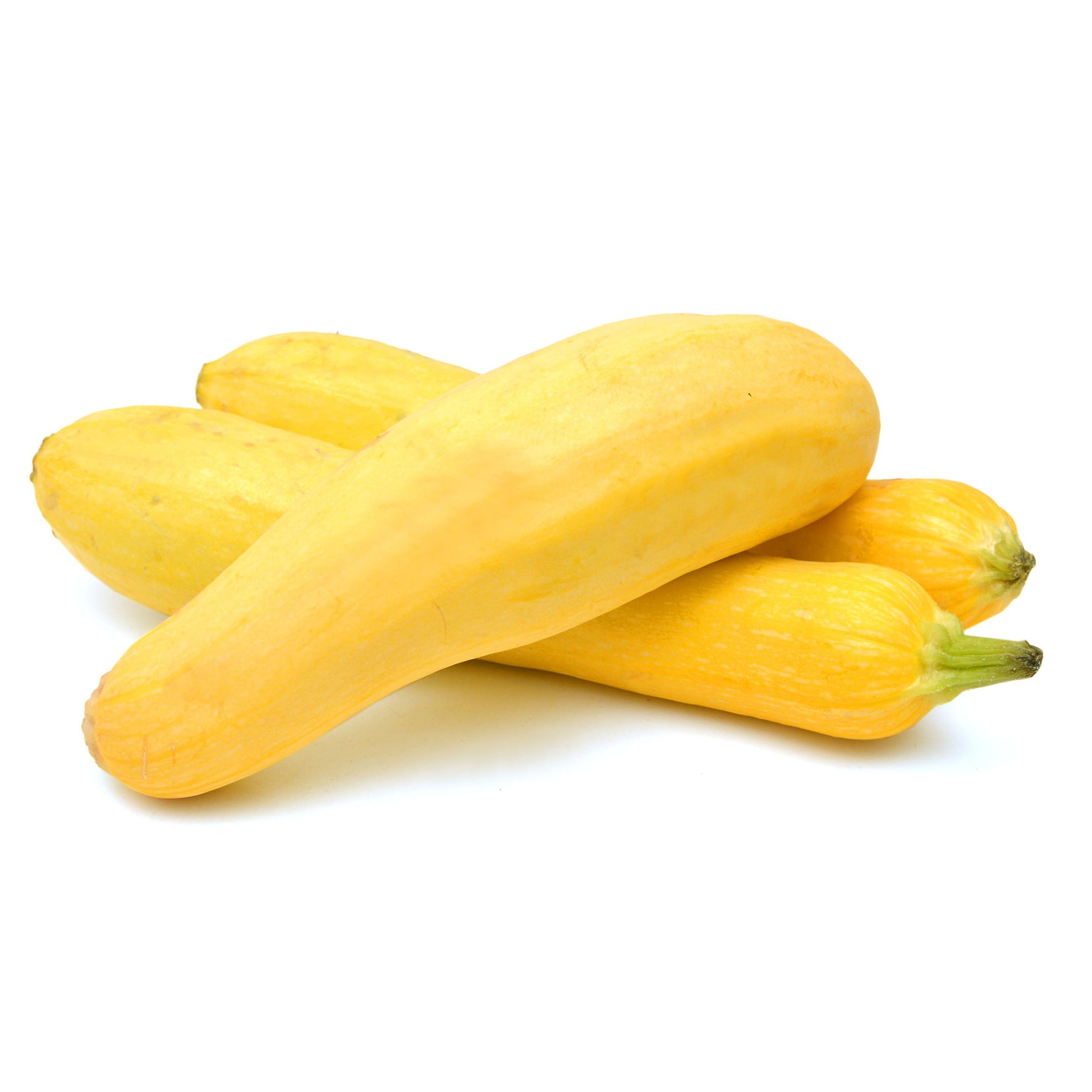 Squash - Early Prolific Straightneck Yellow Summer (Bulk) - Bentley Seeds